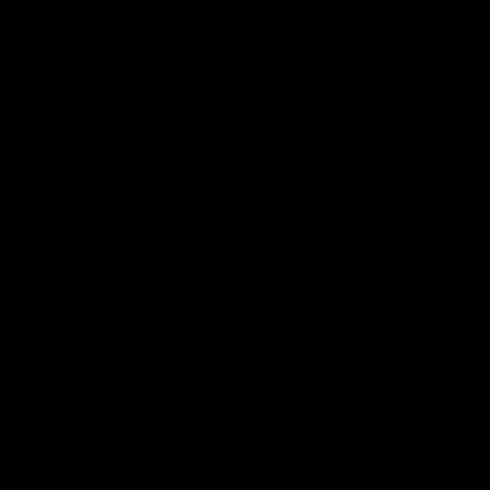 🖤